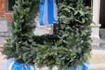 IMG_8459.jpg